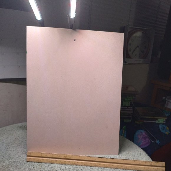 The bird - Picture 4 of 4